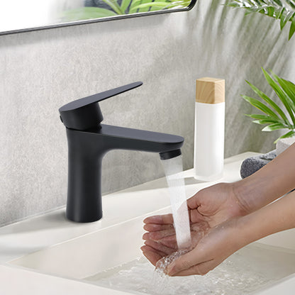 Person washing hands under a black faucet with a plant in the background