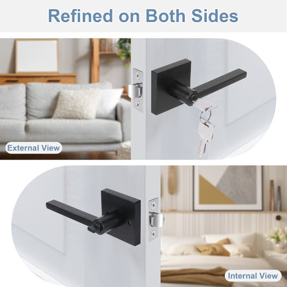 Black door handle on a white door with living room interior background