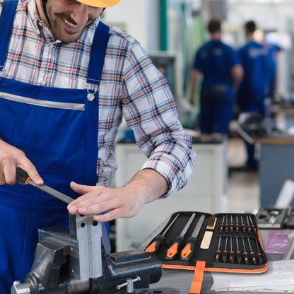 19-Pcs Metal File Set - Alloy Steel Flat, Triangle, Half-Round, Round + 12 Needle Files w/ Case